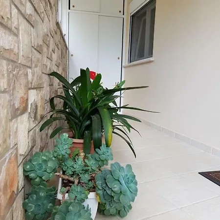 Vranac Apartmán *